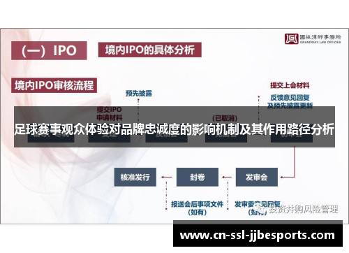 足球赛事观众体验对品牌忠诚度的影响机制及其作用路径分析